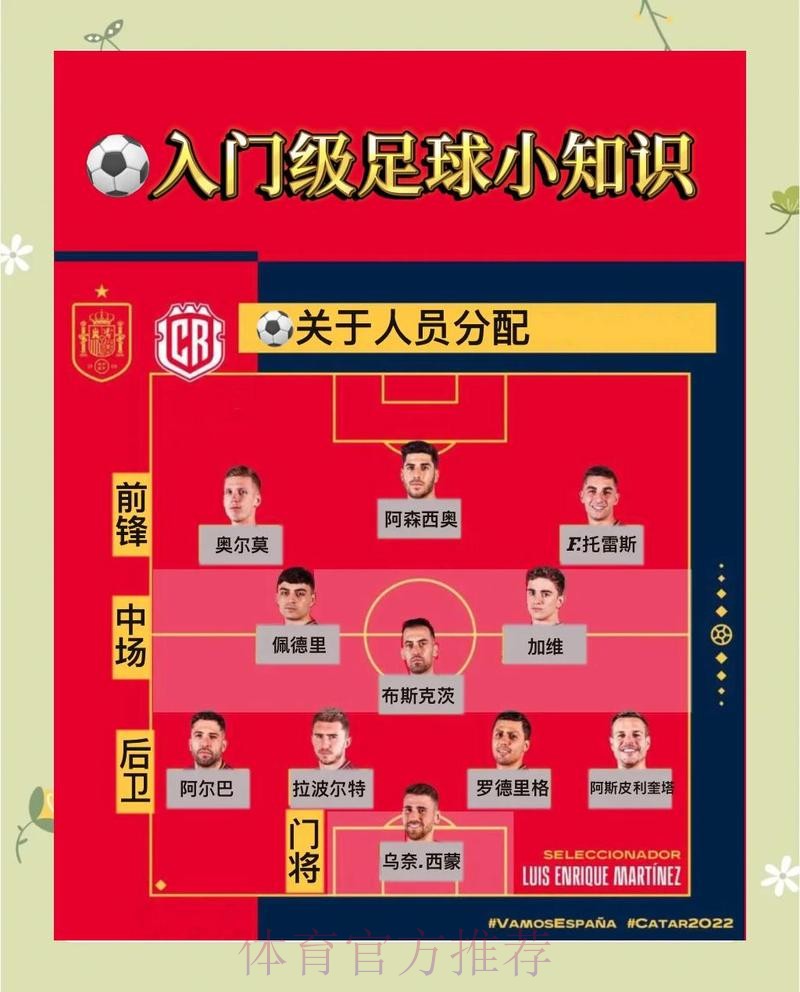 全面解析：世界杯预测官网全站攻略